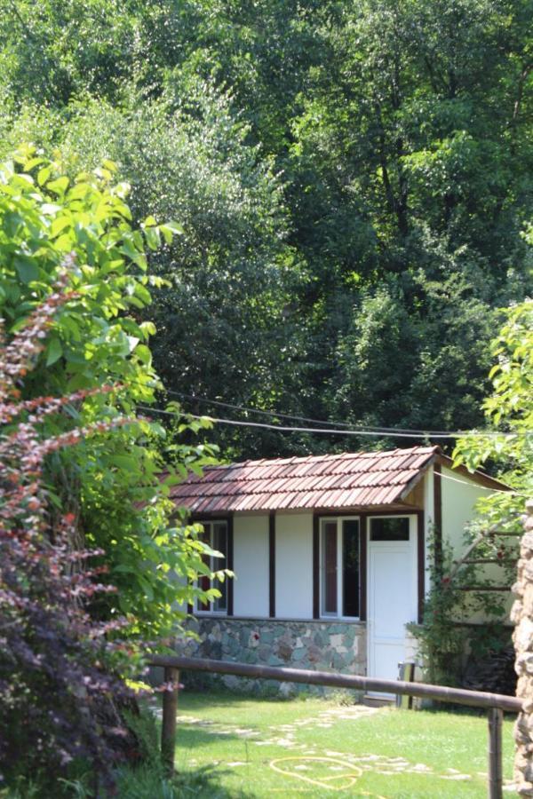 לינה וארוחת בוקר דיליג'אן Eco Garden מראה חיצוני תמונה