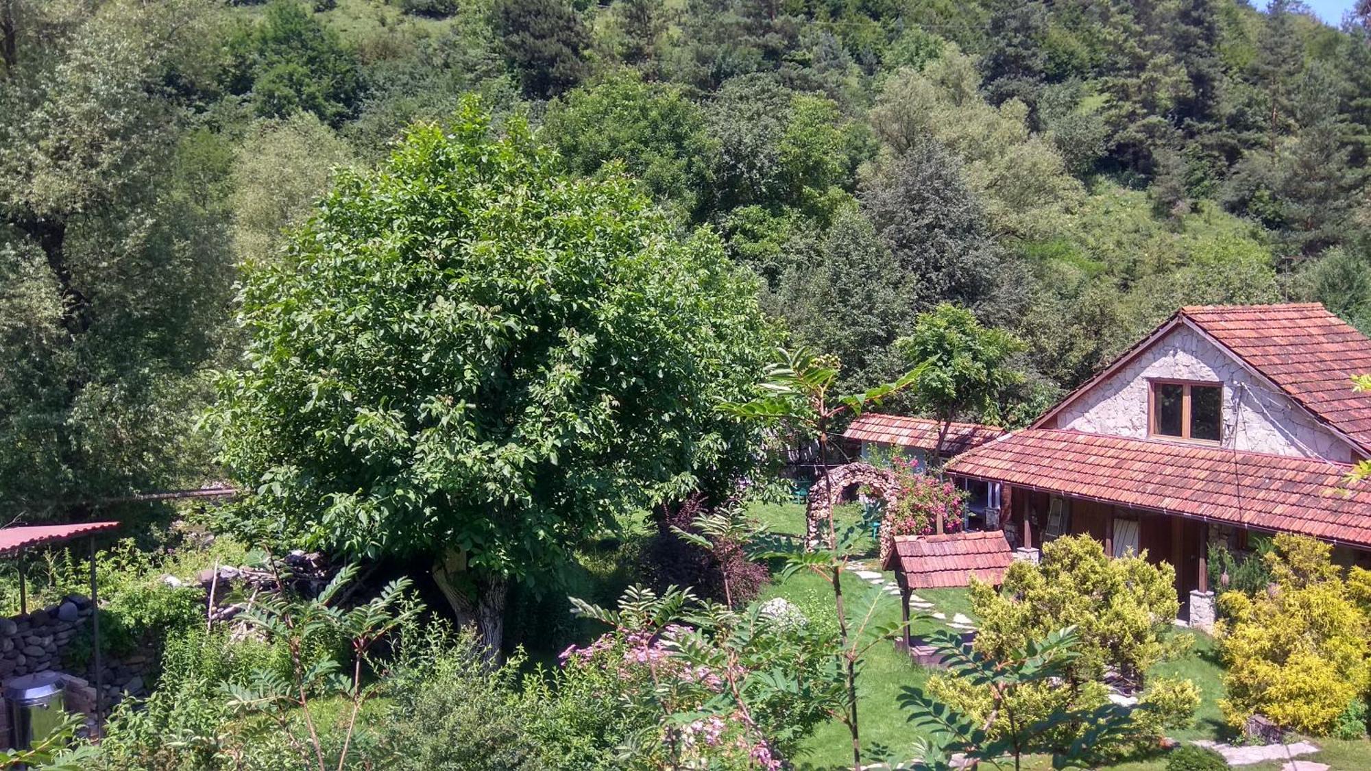 לינה וארוחת בוקר דיליג'אן Eco Garden מראה חיצוני תמונה