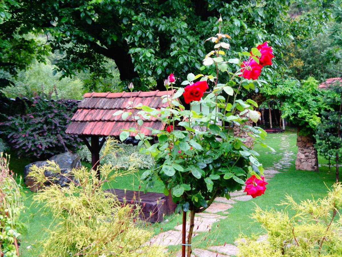 לינה וארוחת בוקר דיליג'אן Eco Garden מראה חיצוני תמונה